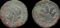   Roman Provincial Bronze coin  427.37 元 含税免费寄运