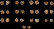 Israel Lot of 13 Judaea, Hasmonean Kings. Yehohanan Hyrcanus I. -