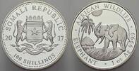 Somalia 100 Shillings Republik Somalia seit 1991. -