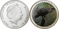 New Zealand 1 Dollar, 1 Oz Kaka Forest Bird, proof 1 Oz coloré -