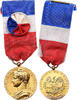 France Medaille Ministère du Travail et de la Sécurité Sociale -