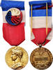 France Medal Médaille d'honneur du travail, Excellent Quality -