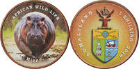 Somaliland Shilling Coin, Faune africaine - Hippopotame -