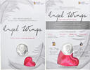 South Georgia and the South Sandwich Islands 50 Pence Coin, Angel Wings -