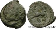 FRANCE Bronze ROVECA, classe IIIa GALLIA BELGICA - MELDI (Area of Meaux) c. 60-40 AC. (18mm, 3,05g, 9h) -