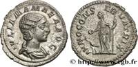 THE SEVERANS (193 AD to 235 AD) Denier 222 JULIA MAMAEA Rome 222 (20mm, ... 878.56 元 含税 ＋  150.61 元 运费