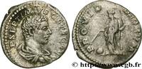 THE SEVERANS (193 AD to 235 AD) Denier GETA Rome 206 (18,5mm, 3,3g, 6h) -