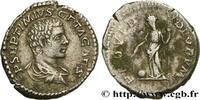 THE SEVERANS (193 AD to 235 AD) Denier GETA Rome 206 (19mm, 3,43g, 6h) -