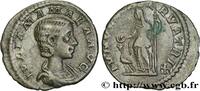 THE SEVERANS (193 AD to 235 AD) Denier JULIA MAMAEA Rome 222 (17,5mm, 2,20g, 12h) -