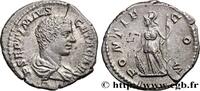 THE SEVERANS (193 AD to 235 AD) Denier GETA Rome 207 (18mm, 3,44g, 6h) -