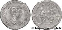 THE SEVERANS (193 AD to 235 AD) Denier 200 GETA Rome 200 (19,5mm, 3,34g,... 1,338.75 元 含税 ＋  150.61 元 运费
