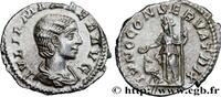 THE SEVERANS (193 AD to 235 AD) Denier 222 JULIA MAMAEA Rome 222 (17mm, ... 1,338.75 元 含税 ＋  150.61 元 运费