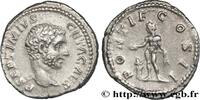 THE SEVERANS (193 AD to 235 AD) Denier GETA Rome 208 (19mm, 3,34g, 11h) -