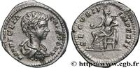 THE SEVERANS (193 AD to 235 AD) Denier GETA Rome 202 (19,5mm, 3,22g, 6h) -