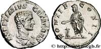 THE SEVERANS (193 AD to 235 AD) Denier GETA Rome 208 (18,5mm, 3,75g, 6h) -