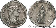 THE SEVERANS (193 AD to 235 AD) Denier GETA Rome 207 (19mm, 3,60g, 7h) -