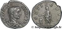 THE SEVERANS (193 AD to 235 AD) Denier GETA Rome 208 (17,5mm, 3,61g, 12h) -