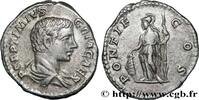 THE SEVERANS (193 AD to 235 AD) Denier GETA Rome 207 (18,5mm, 3,04g, 12h) -