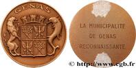 FRANCE Médaille, Reconnaissance de la municipalité n.d. CONSEIL GÉNÉRAL,... 376.52 元 含税 ＋  150.61 元 运费