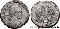 THE SEVERANS (193 AD to 235 AD) Tétradrachme syro-phénicien DIADUMENIAN Émèse, Syrie, Séleucie et Pierie 217-218 (26mm, 12,94g, 6h) -