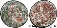 THE SEVERANS (193 AD to 235 AD) Tétradrachme syro-phénicien CARACALLA Chypre 215-217 (23,5mm, 12,96g, 12h) -