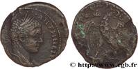 THE SEVERANS (193 AD to 235 AD) Tétradrachme syro-phénicien ELAGABALUS Antioche, Syrie, Séleucie et Piérie 218-220 (22,5mm, 10,35g, 12h) -