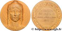 FRANCE Médaille, Adjoint au maire d’Agen CONSEIL GÉNÉRAL, DÉPARTEMENTAL OU MUNICIPAL - CONSEILLERS 47 - Agen 1941 (49,5mm, 56,13g, 12h) -