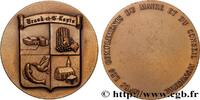 FRANCE Médaille, Brand-et-Saint-Louis CONSEIL GÉNÉRAL, DÉPARTEMENTAL OU MUNICIPAL - CONSEILLERS n.d. (64,5mm, 147,92g, 12h) -