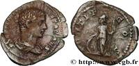 THE SEVERANS (193 AD to 235 AD) Denier GETA Rome 207 (20,5mm, 3,23g, 6h) -
