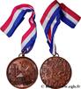 FRANCE Médaille, Conseil général de l’Essonne CONSEIL GÉNÉRAL, DÉPARTEMENTAL OU MUNICIPAL - CONSEILLERS Monnaie de Paris 1989 (74,5mm, 179,14g, 12h) -