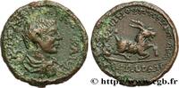 THE SEVERANS (193 AD to 235 AD) Pentassaria DIADUMENIAN Aegeai, Cilicie 217-218 (28,5mm, 19,34g, 12h) -