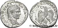 THE SEVERANS (193 AD to 235 AD) Tétradrachme syro-phénicien CARACALLA Émèse, Syrie, Séleucie et Pierie 215-217 (27mm, 13,01g, 12h) -