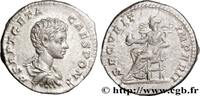 THE SEVERANS (193 AD to 235 AD) Denier GETA Rome 202 (17,5mm, 3,41g, 7h) -