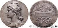 FRANCE Médaille, Conseil municipal CONSEIL GÉNÉRAL, DÉPARTEMENTAL OU MUNICIPAL - CONSEILLERS 1941 (49,5mm, 51,48g, 12h) -