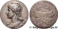 FRANCE Médaille, Conseil municipal CONSEIL GÉNÉRAL, DÉPARTEMENTAL OU MUNICIPAL - CONSEILLERS 92 - Colombes 1941 (49,5mm, 51,04g, 12h) -