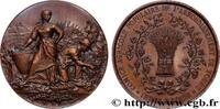 FRANCE Médaille, Comice agricole populaire SOCIÉTÉS D'AGRICULTURE, HORTICULTURE, PÊCHE ET CHASSE 37 - Tours n.d. (50mm, 60,73g, 12h) -