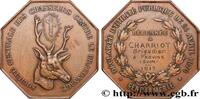 FRANCE CHASSEURS CONTRE LE BRACONNAGE SOCIÉTÉS D'AGRICULTURE, HORTICULTURE, PÊCHE ET CHASSE 77 - Provins 1917 (46mm, 49,85g, 12h) -