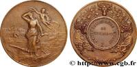 FRANCE Médaille, Société d’agriculture de Charolles SOCIÉTÉS D'AGRICULTURE, HORTICULTURE, PÊCHE ET CHASSE n.d. (41mm, 32,95g, 12h) -