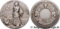 FRANCE Médaille, Comice agricole de l’entre-deux-mers SOCIÉTÉS D'AGRICULTURE, HORTICULTURE, PÊCHE ET CHASSE 33 - Gironde n.d. (45mm, 43,66g, 12h) -