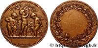 FRANCE Médaille, Horticulture SOCIÉTÉS D'AGRICULTURE, HORTICULTURE, PÊCHE ET CHASSE Monnaie de Paris n.d. (32mm, 14,55g, 12h) -