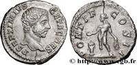 THE SEVERANS (193 AD to 235 AD) Denier GETA Rome 208 (18,5mm, 2,99g, 6h) -