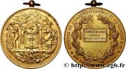 FRANCE Médaille, Comices, Horticulture SOCIÉTÉS D'AGRICULTURE, HORTICULTURE, PÊCHE ET CHASSE 1893 (56,5mm, 63,61g, 12h) -