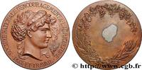 FRANCE Médaille, Société nationale d’encouragement à l’ag SOCIÉTÉS D'AGRICULTURE, HORTICULTURE, PÊCHE ET CHASSE n.d. (50mm, 59,35g, 12h) -
