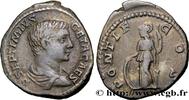 THE SEVERANS (193 AD to 235 AD) Denier GETA Rome 207 (19,5mm, 3,41g, 12h) -