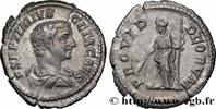 THE SEVERANS (193 AD to 235 AD) Denier 206 GETA Rome 206 (21mm, 3,32g, 6... 1,338.75 元 含税 ＋  150.61 元 运费