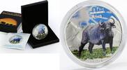 Democratic Republic of the Congo 240 francs Congo 240 francs Big Five Africa Buffalo Fauna Animals silver coin 2008 -