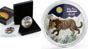 Democratic Republic of the Congo 240 francs Congo 240 francs Big Five Africa Leopard Fauna Animals silver coin 2008 -