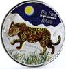 Congo 240 francs Congo 240 francs Wildlife Big African Five Leopard colored silver coin 2008 -
