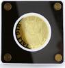 Chad 5000 francs Chad 5000 francs Big African Five Lion Cub Cat Fauna gold coin 2020 -