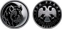 Russia 3 Roubles Russia Russian Federation 2007 ММД 3 Roubles (Year of Boar) Silver (.925) (15000) 33.94g PF Y 992 CBR 5111-0155 Schön 1000 -